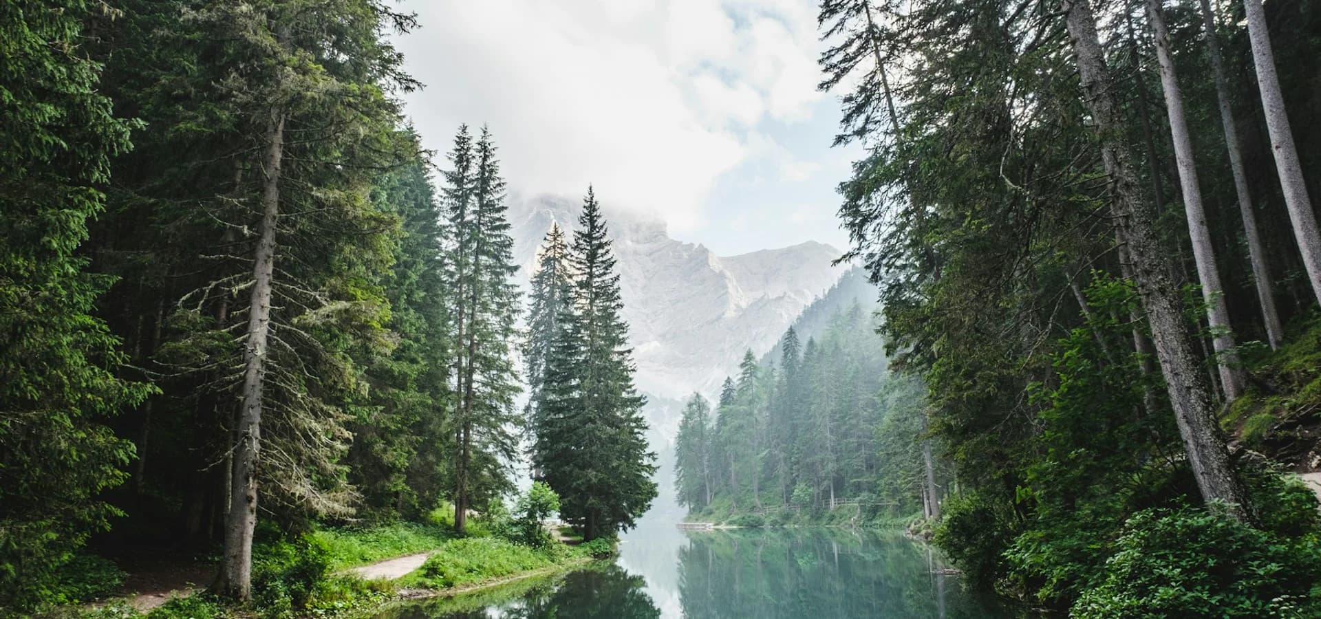 A mountain forest and lake representing nature conservation