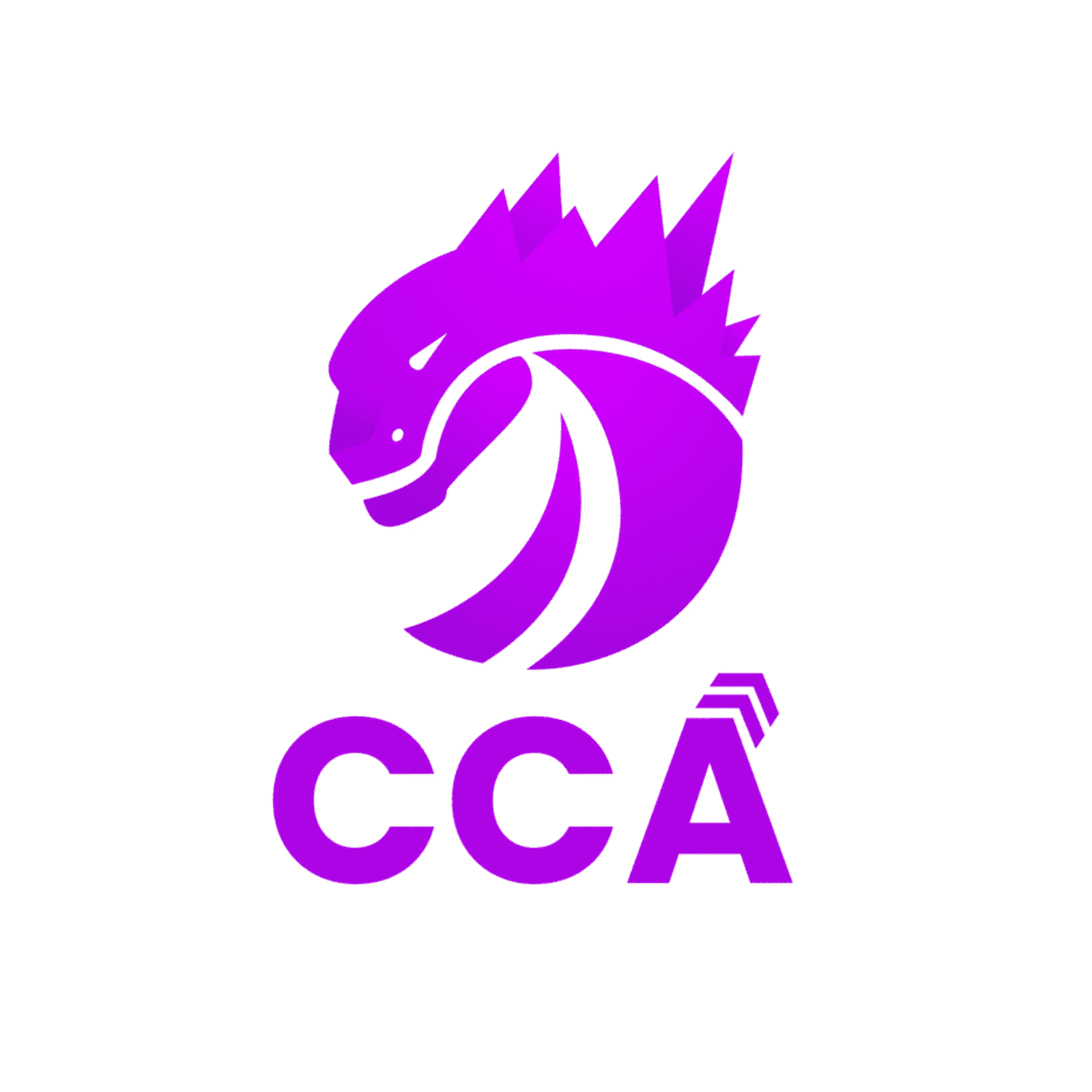 CodeZela Career Accelerator logo